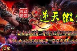 合击传奇私服挂机外挂_传奇私服挂机外挂大揭秘