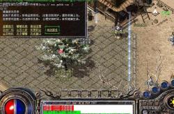 天旋火龙传奇私服_私房传世：火龙天旋